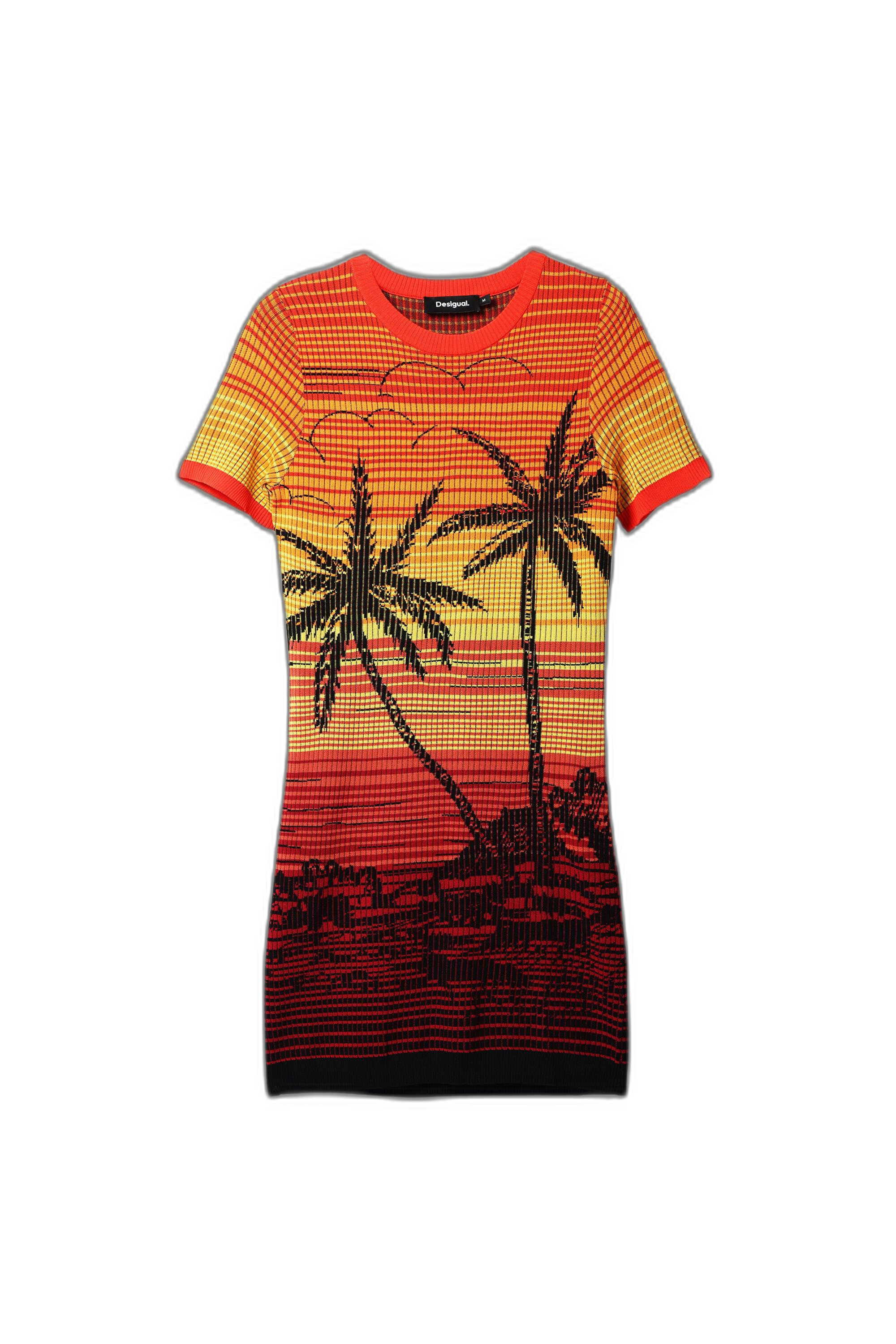 Desigual Dresses