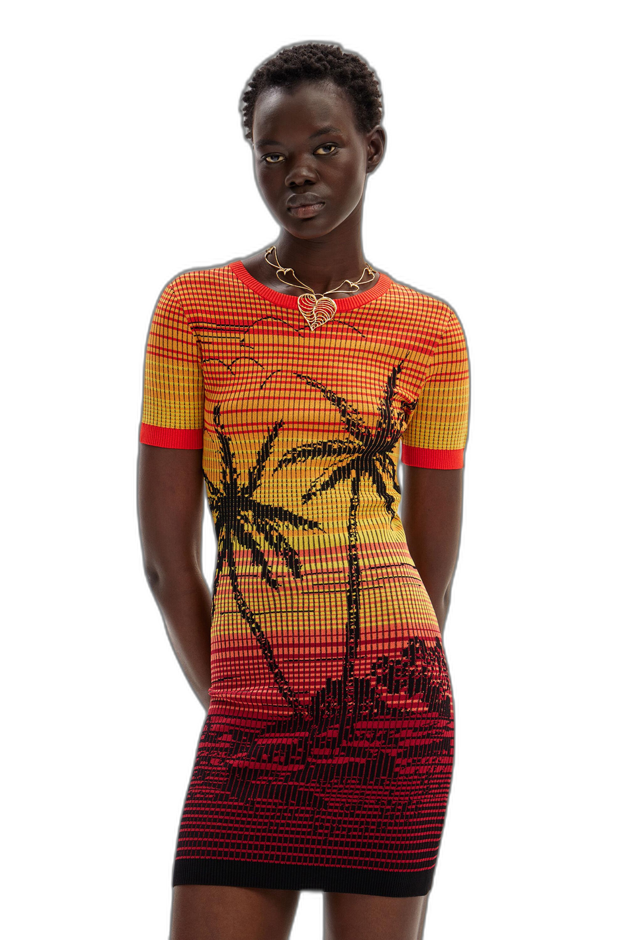 Desigual Dresses