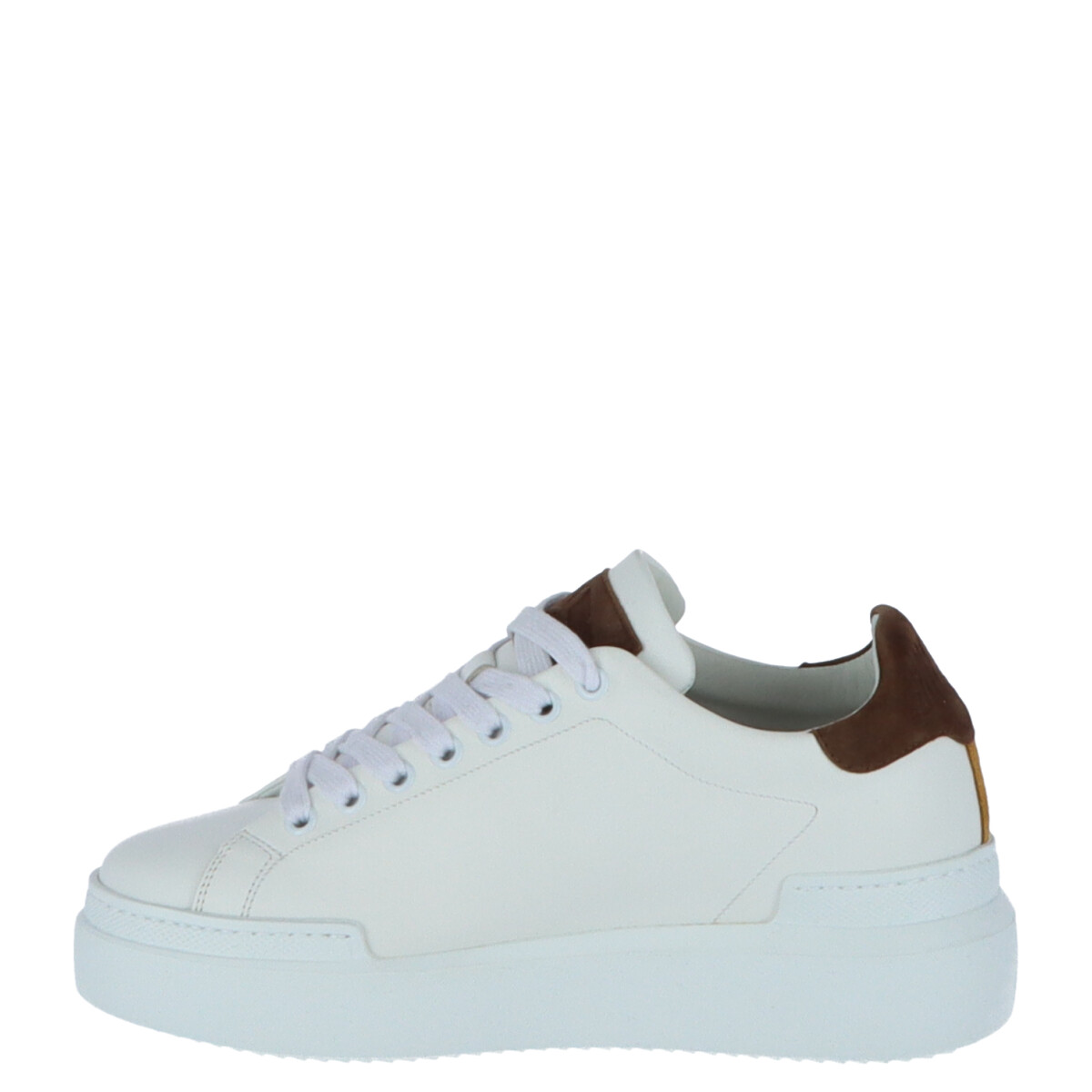 Sneaky Steve Sneakers